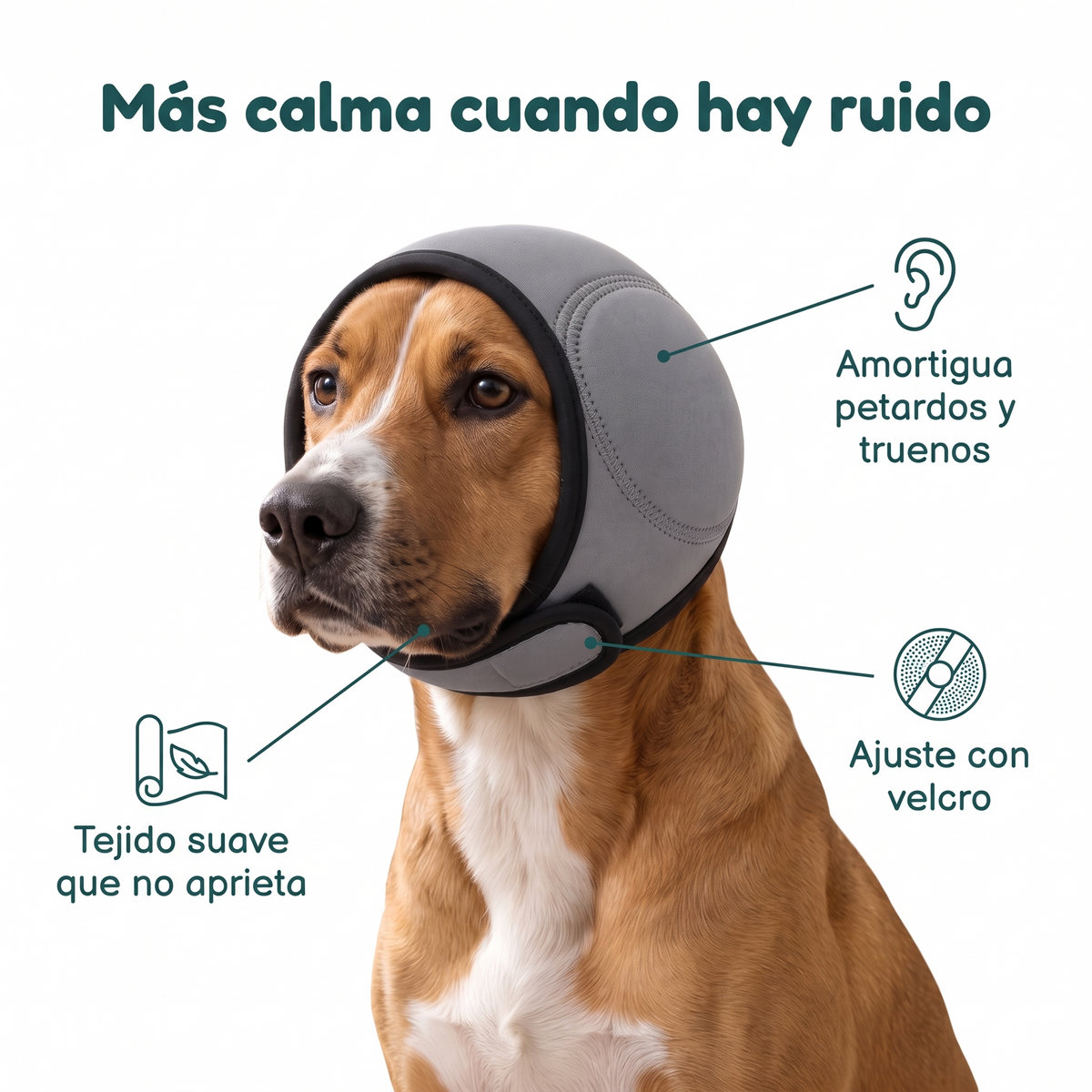 Beneficios de la capucha calmante Calmo para perros
